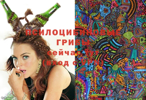 крисы Абинск