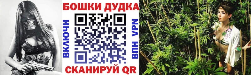Марихуана план  omg ссылка  Ак-Довурак 
